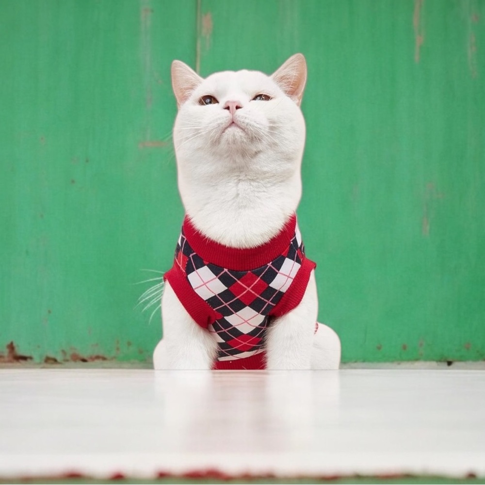 Adorable Red Plaid small sweater for cat or small dog